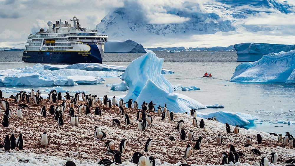 Lindblad Expeditions ship with penguin colony in Antarctica